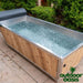 Dundalk Leisurecraft "The Polar Plunge Tub" With Penguin Cold Therapy Chiller-